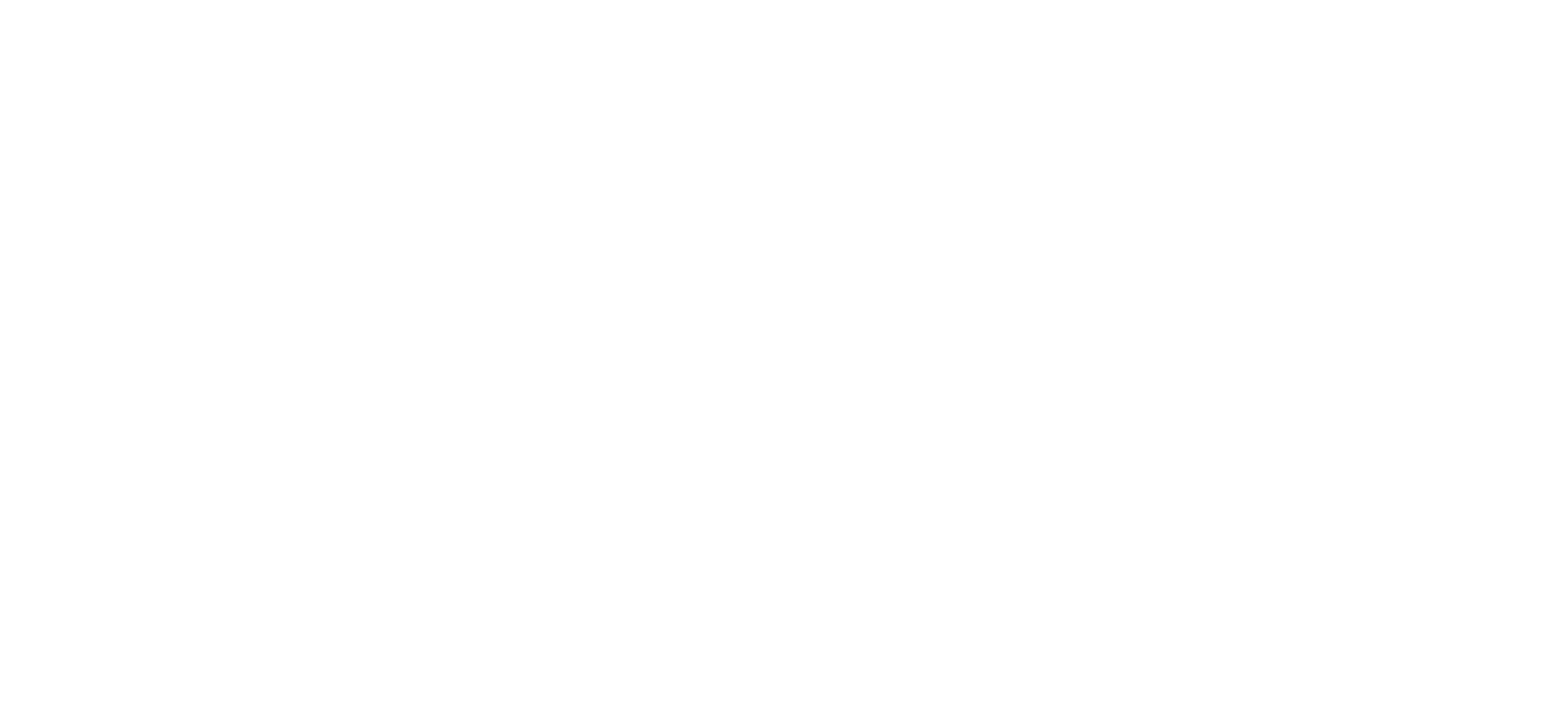 Logo Zin Formation